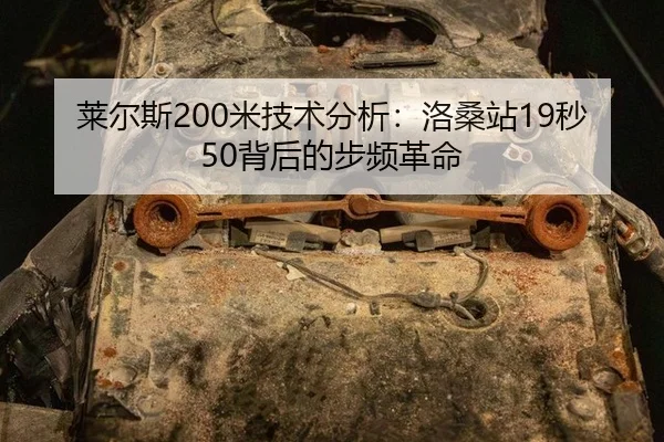 lai-er-si-mi-ji-shu-fen-xi-luo-sang-zhan-miao-bei-hou-de-bu-pin-ge-ming-3-529.jpg