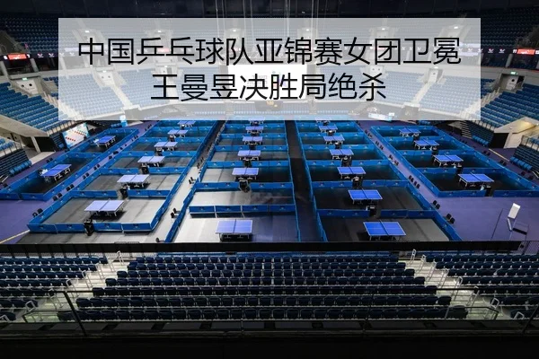 zhong-guo-ping-pang-qiu-dui-ya-jin-sai-nv-tuan-wei-mian-wang-man-yu-jue-sheng-ju-jue-sha-3-371.jpg